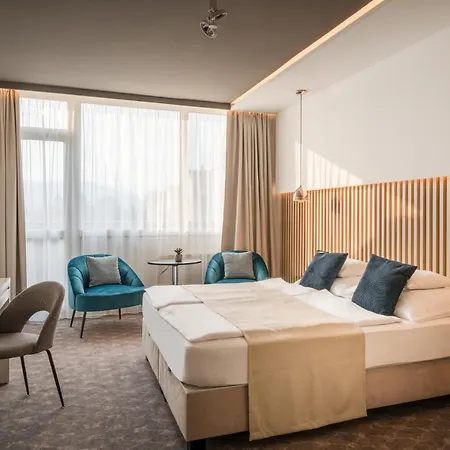 Hotel Bodrog Wellness & Elix Sárospatak