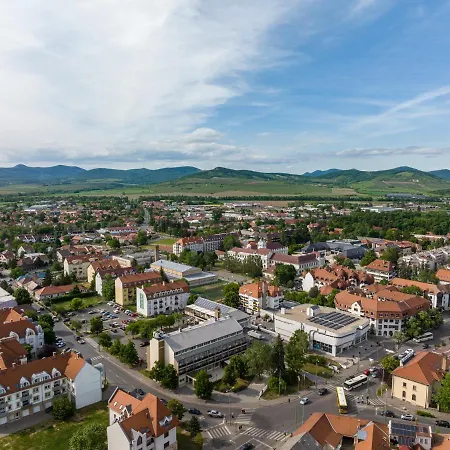 Hotel Bodrog Wellness & Elix 4*